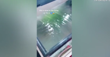 E pabesueshme, acari që ka përfshirë Teksas grin akuariumin me peshq në dhomën e gjumit