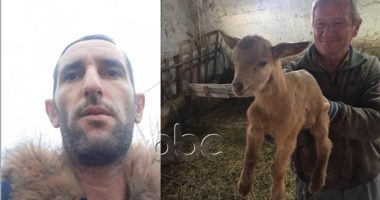 Xhaferr Dunga i zhdukur prej dy ditësh, i biri apel në ABC: Kërkoj ndihmë nga shteti