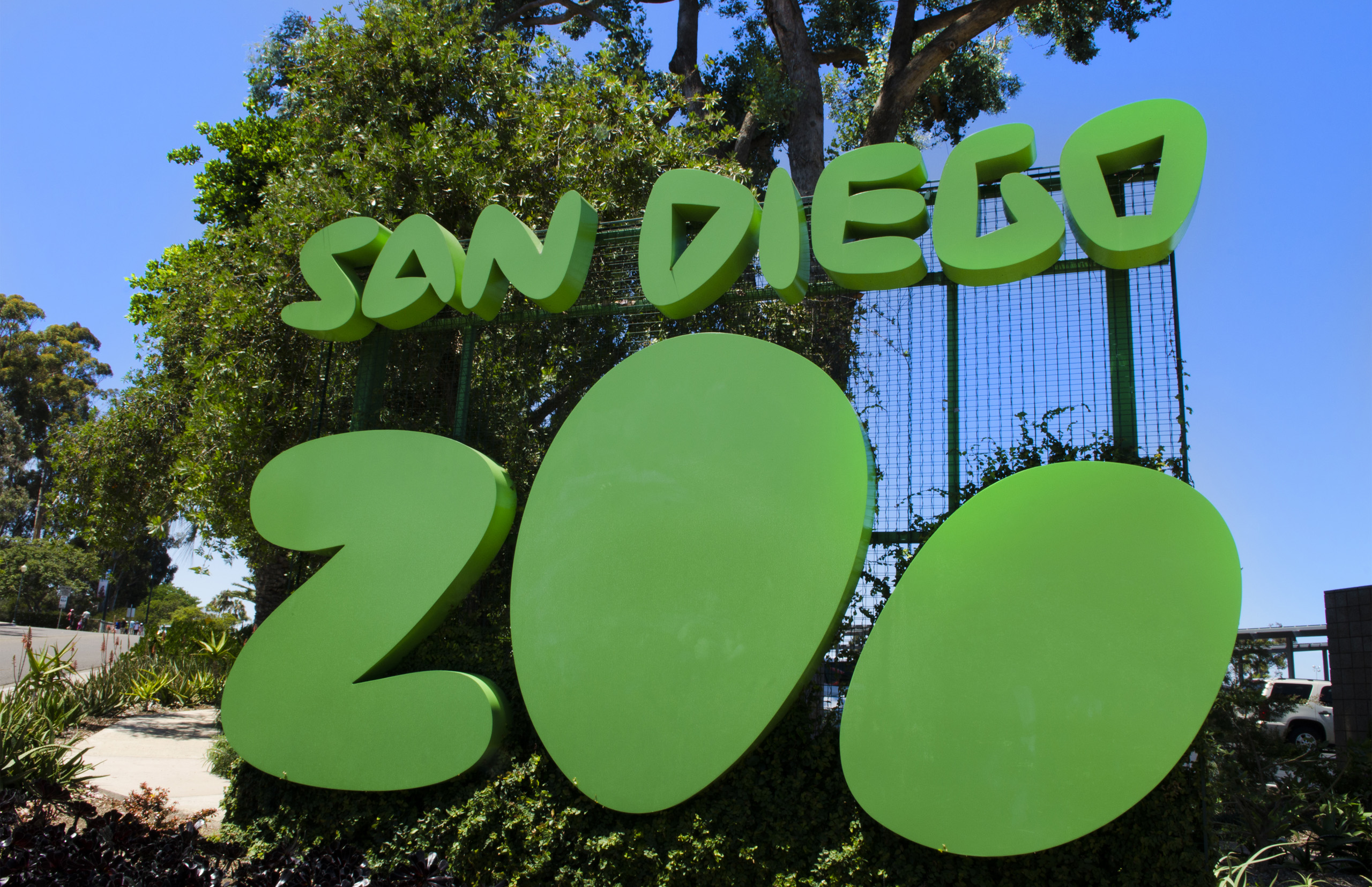 Kopshti zoologjik në San Diego vaksinon 9 majmunë të mëdhenj anti-Covid