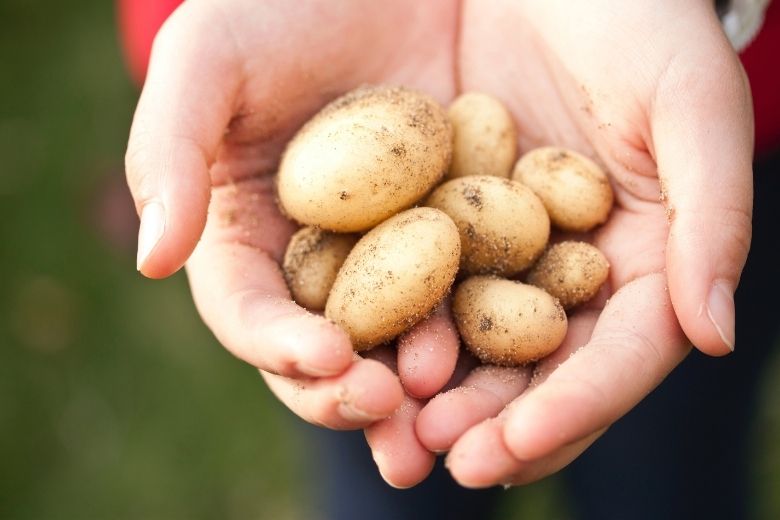 5 gjëra që mund të pastroni me patate