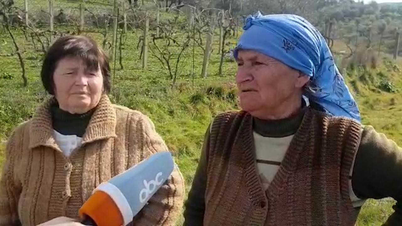 I riu vrau babanë me shkop, kunatat e viktimës: Vuanin nga problemet mendore, bashkia nënvlerësoi thirrjet