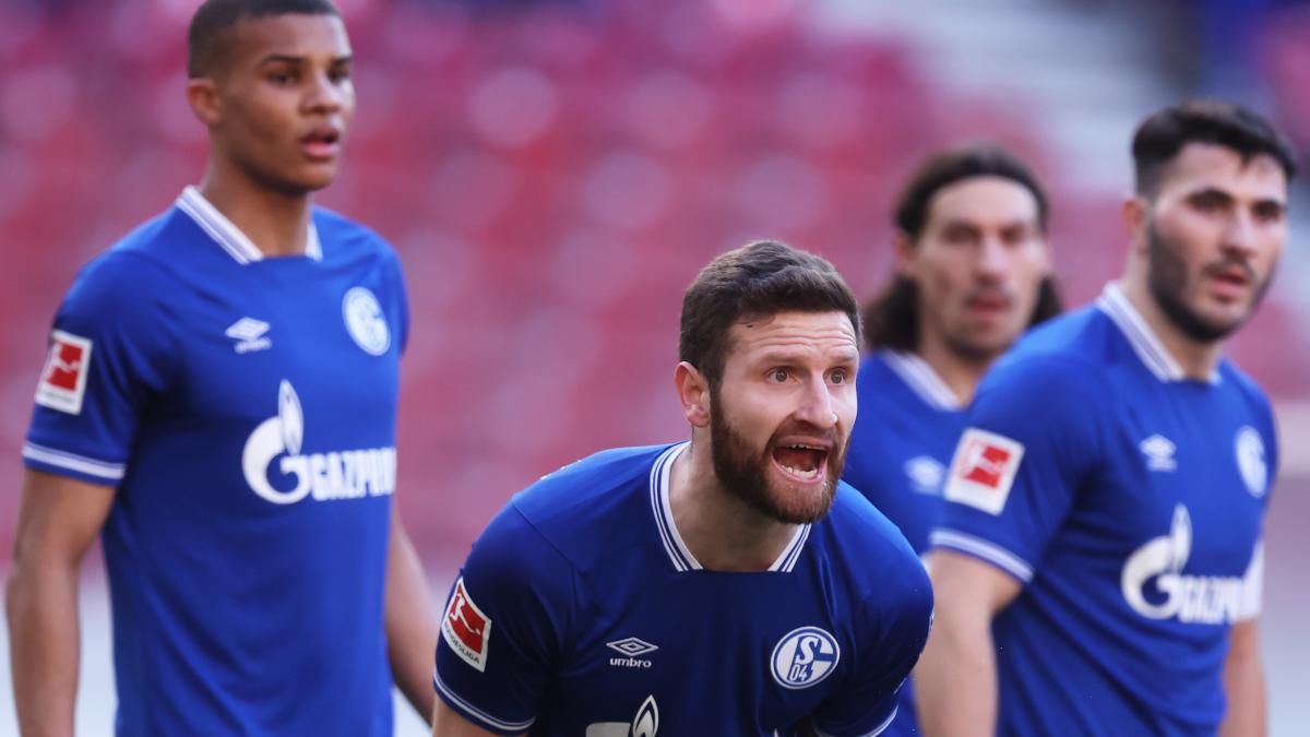 Schalke 04 shkarkoi trajnerin e radhës, Mustafi udhëhoqi “revoltën”