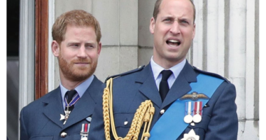 William dhe Harry do të jenë “të ndarë” nga kushëriri i tyre në kortezhin e varrimit të Princit Philip