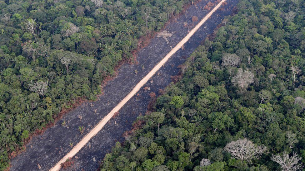 Presidenti i Brazilit shkurton buxhetin për mjedisin pavarësisht zotimeve në samitin e klimës