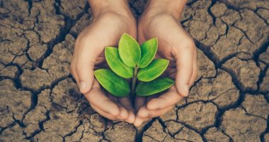 Sot Dita e Tokës, pse është i rëndësishëm ndërgjegjësimi qytetar për ndryshimet e klimës