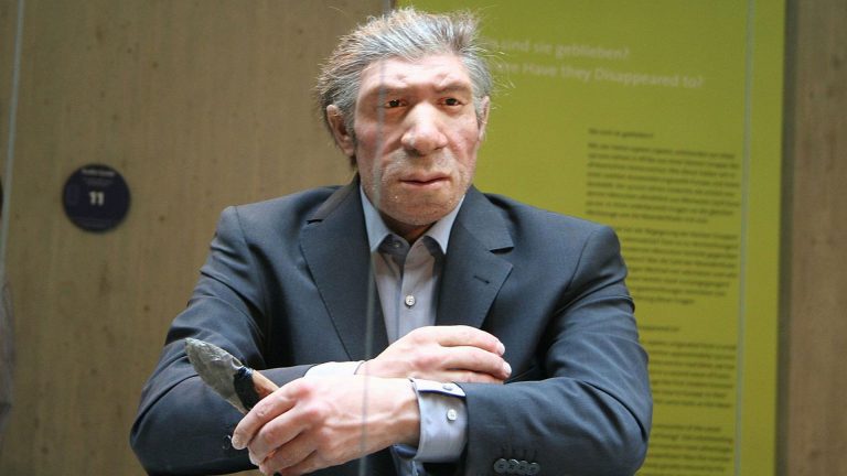 Çfarë do të ndodhte nëse Neandertalët nuk do të ishin zhdukur?