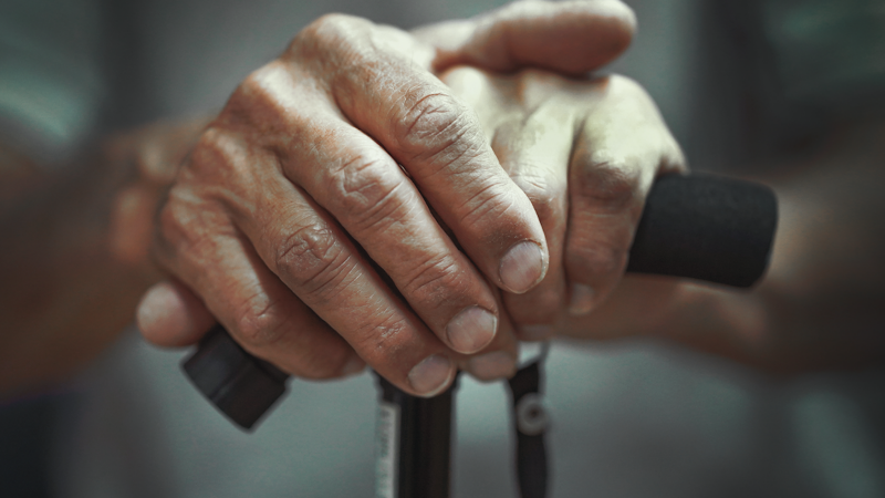 Ky është produkti shtëpiak që lufton demencën