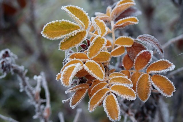 Shi dhe reshje bore në këto zona, si do të ndryshojnë temperaturat ditën e sotme