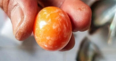 Peshkatari gjen perlën e rrallë portokalli me vlerë 330 mijë $