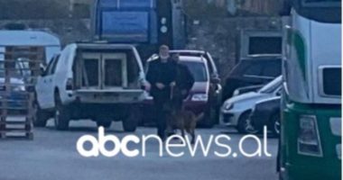 Kokaina në Durrës, policia zbarkon me qen antidrogë në kompaninë “Masabi Fruits”