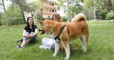 Psikologia Almeida Xhaferi tregon rastet: Mbajtja zi për kafshët, proces i mirëfilltë