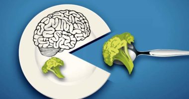 Ushqimet ideale për trurin, konsumimi i tyre rrit përqendrimin dhe kujtesën