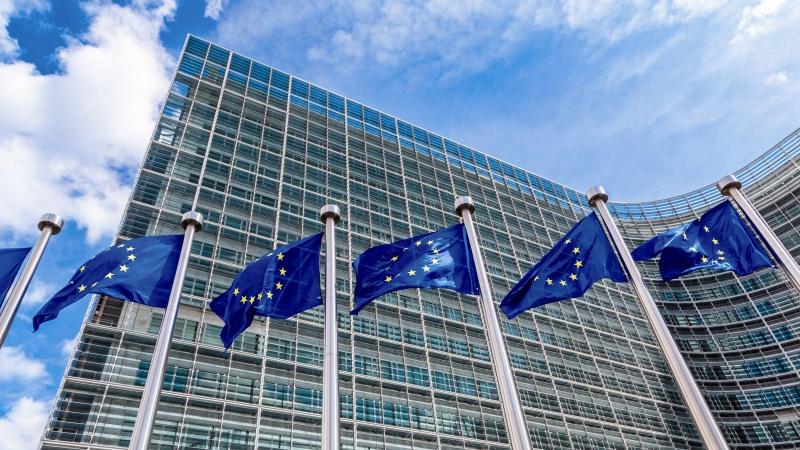 Fillon procesi i screening në Bruksel, kryenegociatorja Duka: Shqipëria, gati për të filluar negociatat