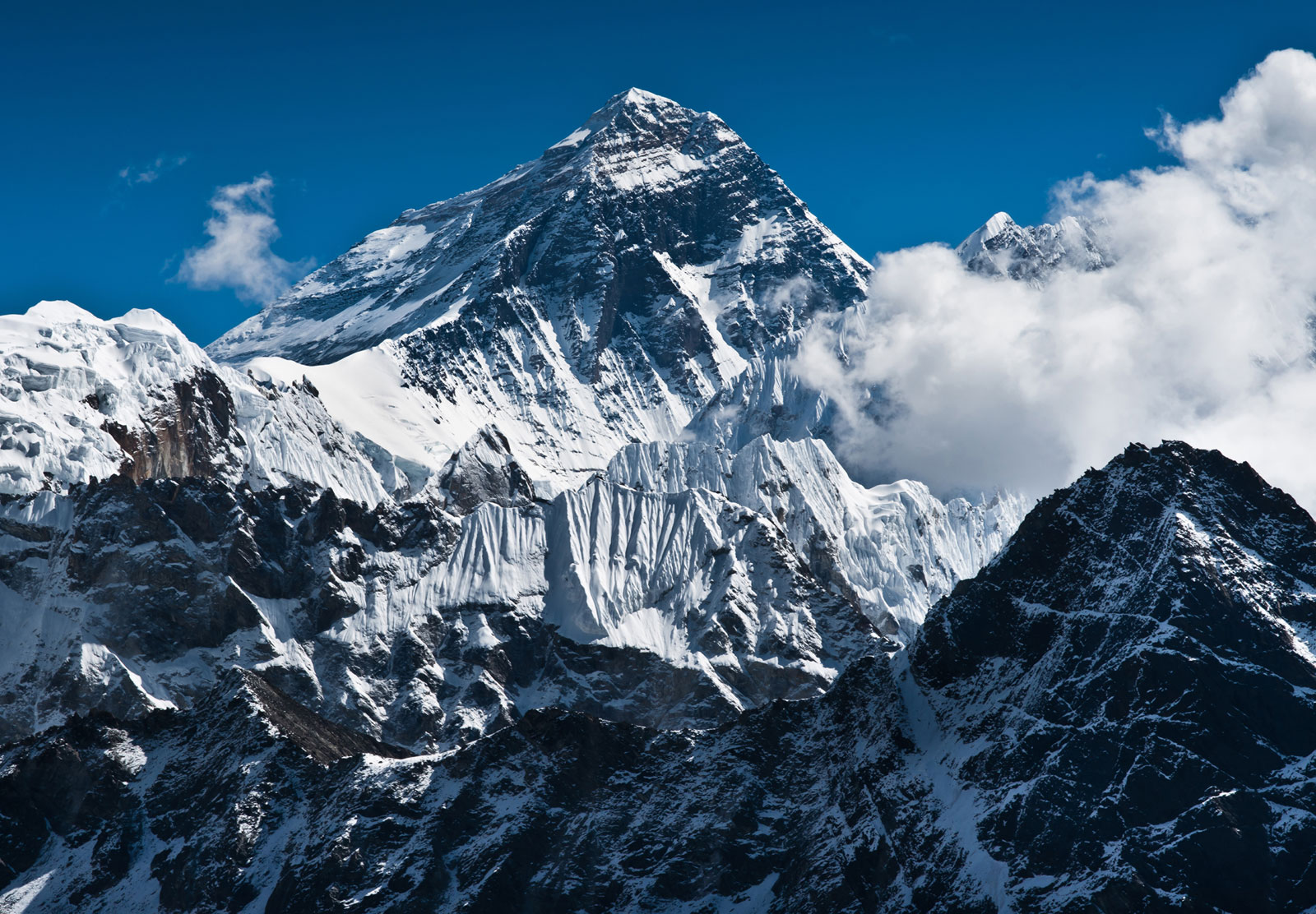 Everest është pika më e lartë mbi nivelin e detit, por jo mali më i lartë në botë