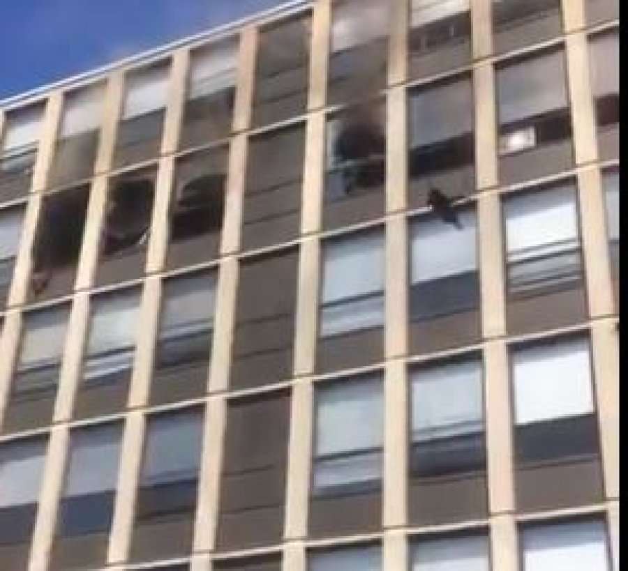 VIDEO/ Macja hidhet nga kati i pestë i ndërtesës që po digjej, bie në tokë pa asnjë lëndim