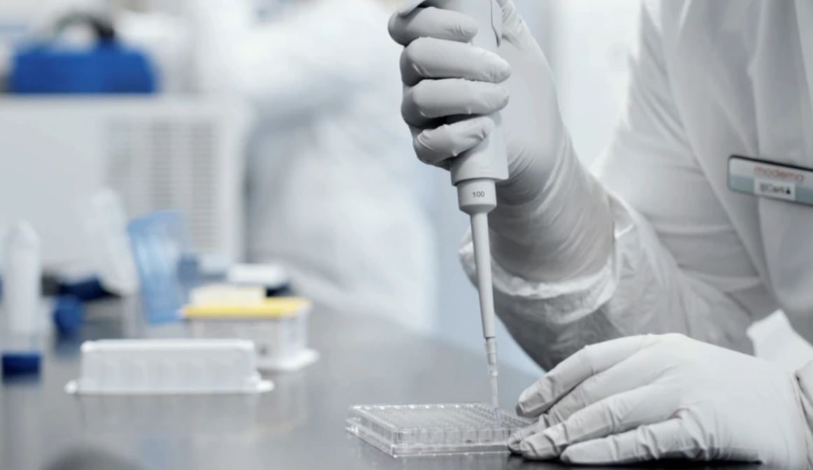 Shkencëtarët në ndjekje të varianteve të reja të COVID-19