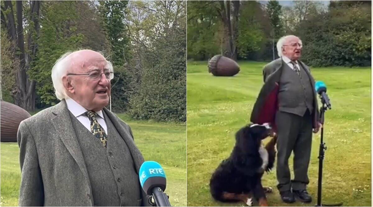 VIDEO/ Presidenti irlandez bëhet viral, qeni i ndërpret intervistën