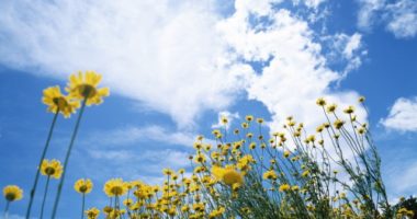 Parashikimi i motit, si do të ndryshojnë temperaturat