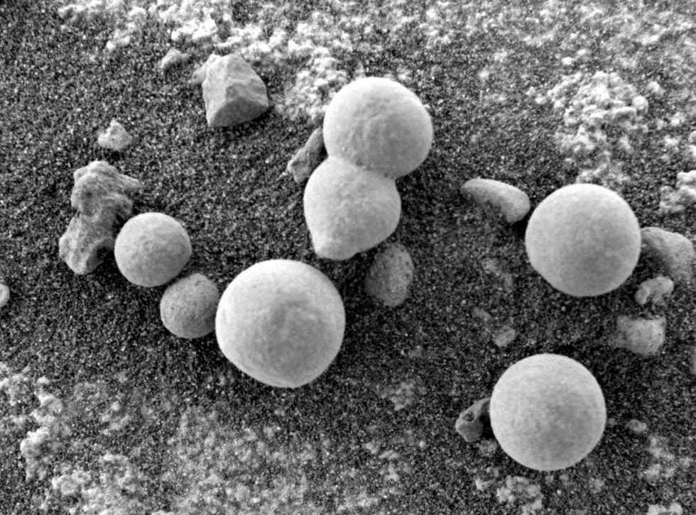 Kërpudha në Mars, shkencëtarët: Imazhet e fundit tregojnë prova të jetës