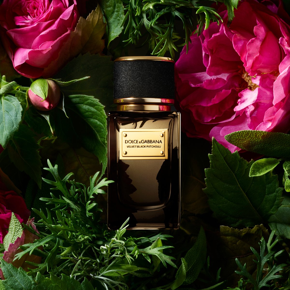 Dolce & Gabbana zgjeron koleksionin e parfumeve Velvet