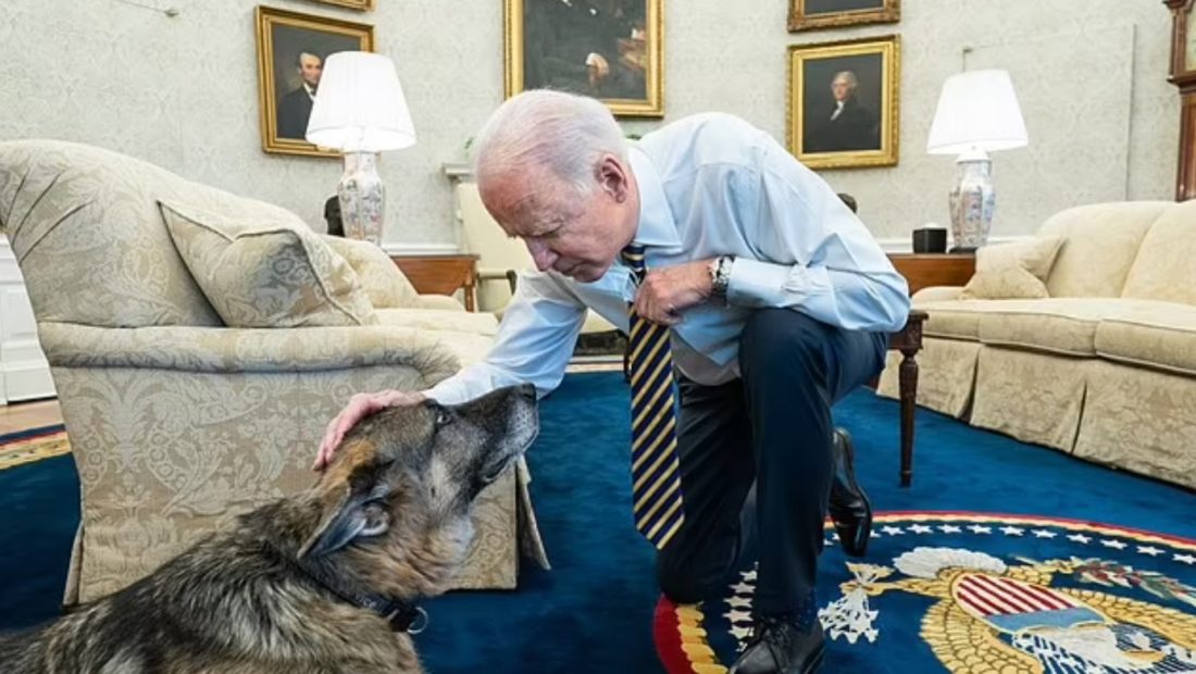 Biden humb mikun me katër putra, ngordh qeni i tij 13 vjeçar