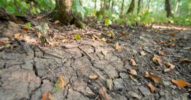 Në Gjermani po pakësohen rezervat ujore