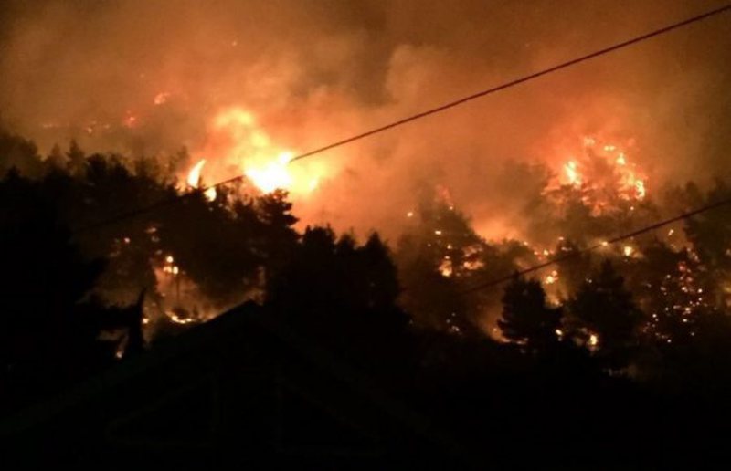 Flakët shkrumbojnë kullotat në Gjirokastër, dy persona në kërkim për zjarrvënie të qëllimshme