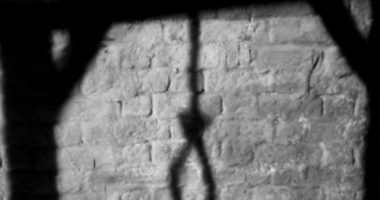 60-vjeçari në Baldushk i jep fund jetës, vetëvaret në pemë