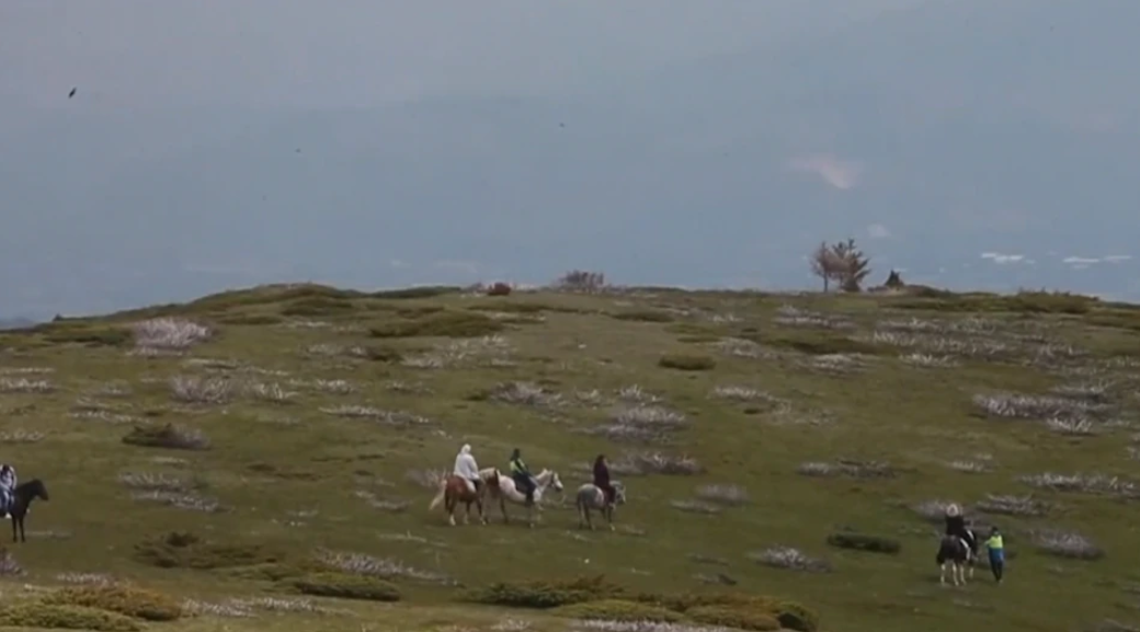Maqedoni e Veriut: Malet e Sharrit pranë shpalljes Park Kombëtar