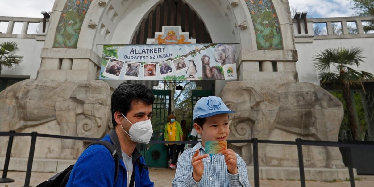Hungari, skepticizëm rreth kartave të vaksinimit