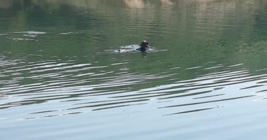 Futet për t’u freskuar, mbytet 74-vjeçari në Tiranë