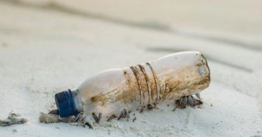 17 vjeçari portugez gjen mesazhin në shishe, dyshohet se erdhi përtej Oqeanit Atlantik