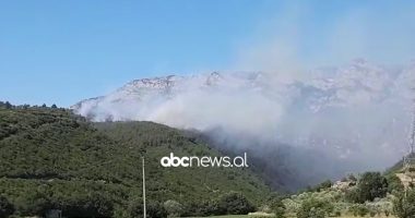 Përfshihet nga flakët pylli me pisha në Krujës, e pamundur ndërhyrja e zjarrfikësve