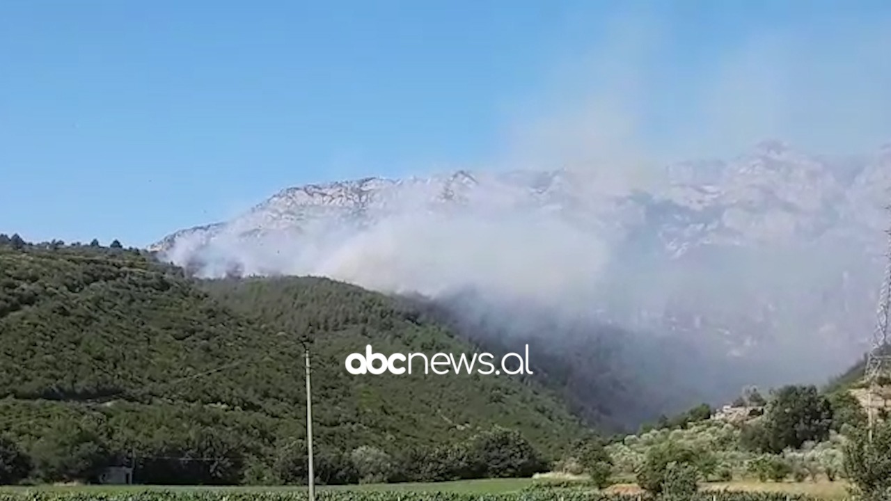 Përfshihet nga flakët pylli me pisha në Krujës, e pamundur ndërhyrja e zjarrfikësve