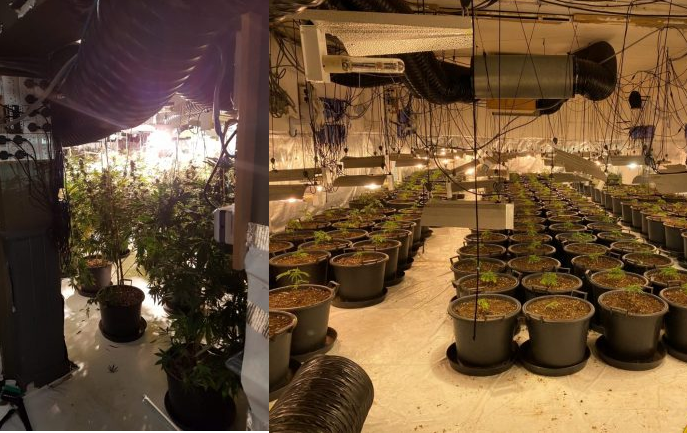 EMRI/ Mori vilë me qira dhe e mbolli me kanabis, si u zbulua shqiptari në Angli, tentoi të korruptonte policët