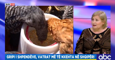 Gripi i shpendëve, Ekonomi: U soll nga shtegtarët, si do t’u vijmë në ndihmë fermerëve të prekur