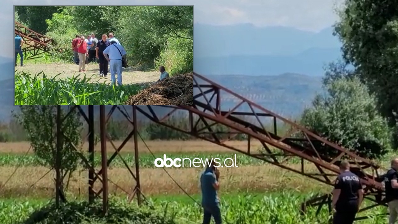 VIDEO/ U mori jetën dy elektricistëve, shtylla e amortizuar e tensionit të lartë shembet në tokë