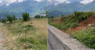 Shkatërrohen qindra fidanë bliri në Tropojë, kryebashkiaku: Sjellje harbute, nuk do mbetet pa u ndëshkuar