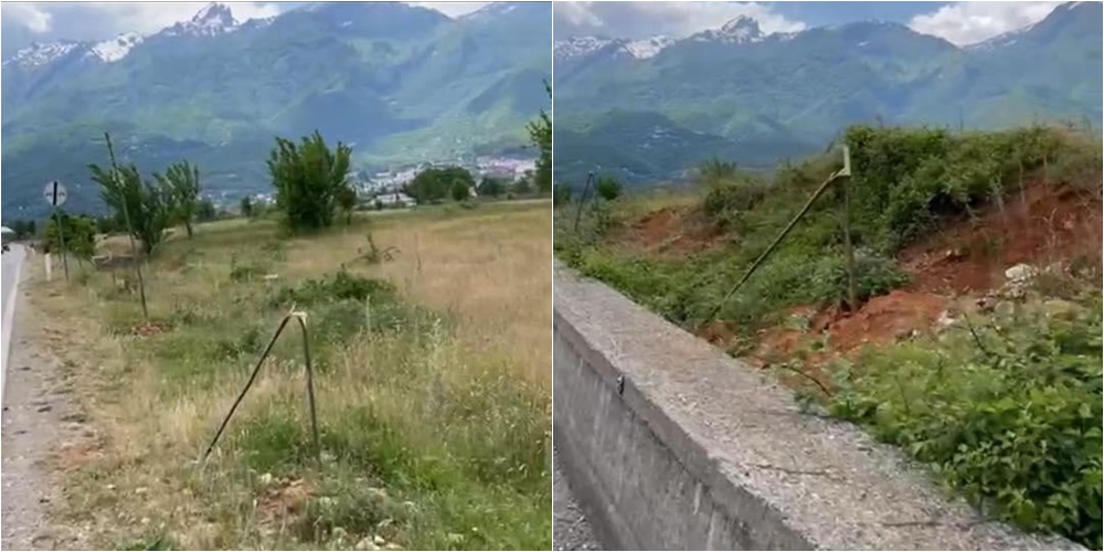 Shkatërrohen qindra fidanë bliri në Tropojë, kryebashkiaku: Sjellje harbute, nuk do mbetet pa u ndëshkuar