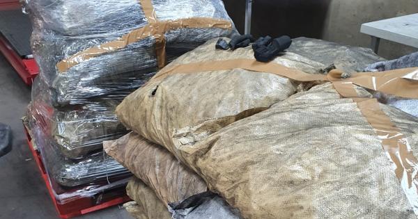 E “maskuan” si qymyr, autoritetet irlandeze dhe holandeze  kapin kokainën me vlerë deri në 35 milionë euro