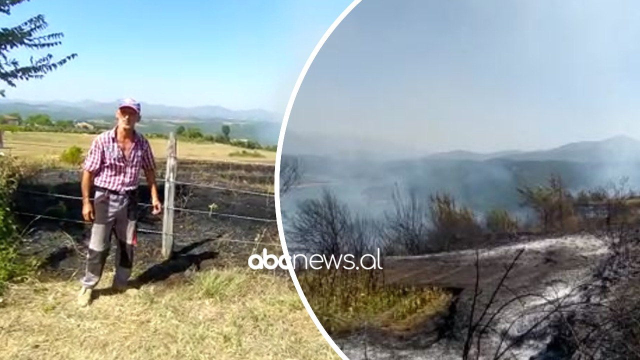 Përfshihet nga flakët kodra e Shikajve në Kukës, zjarri rrezikoi edhe dy banesa