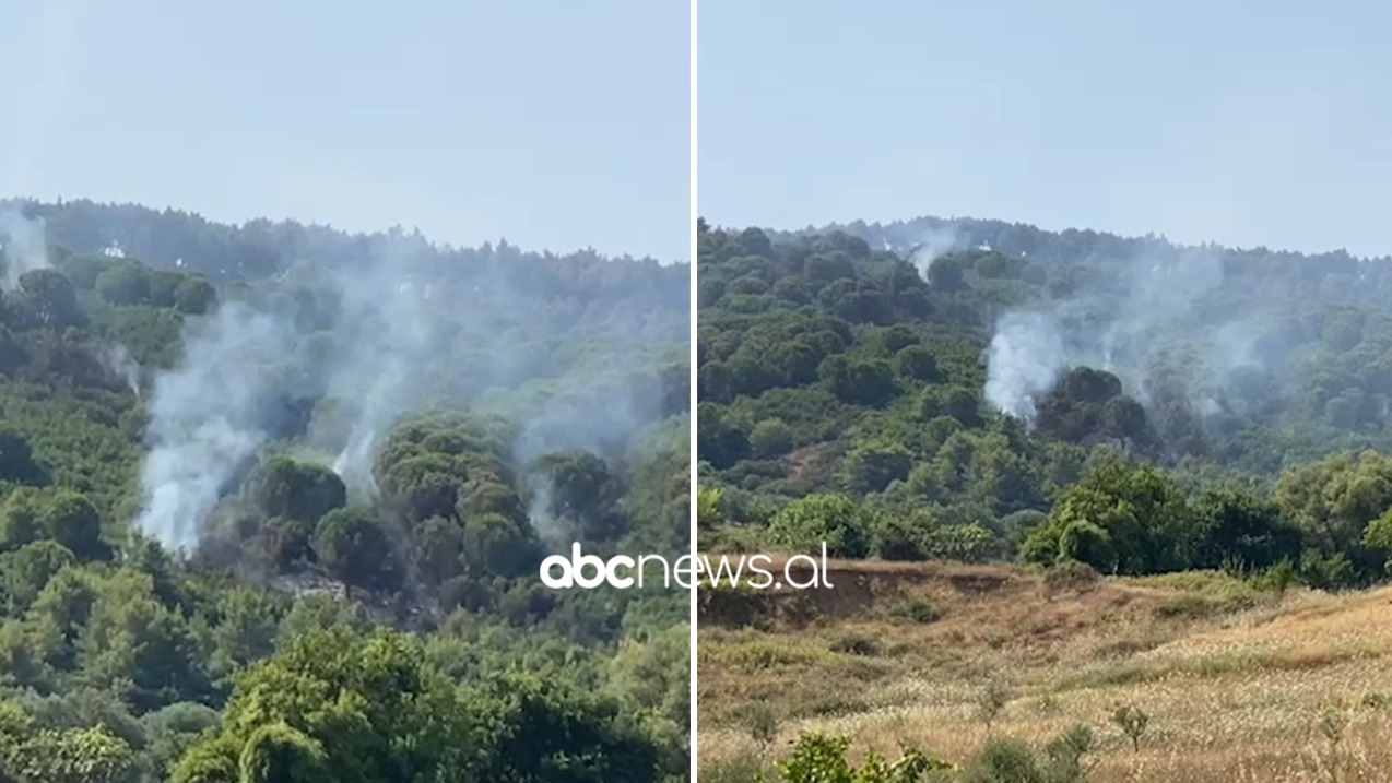 VIDEO/ Zjarri në Patos ende aktiv, Ushtria shkon në ndihmë të zjarrfikësve