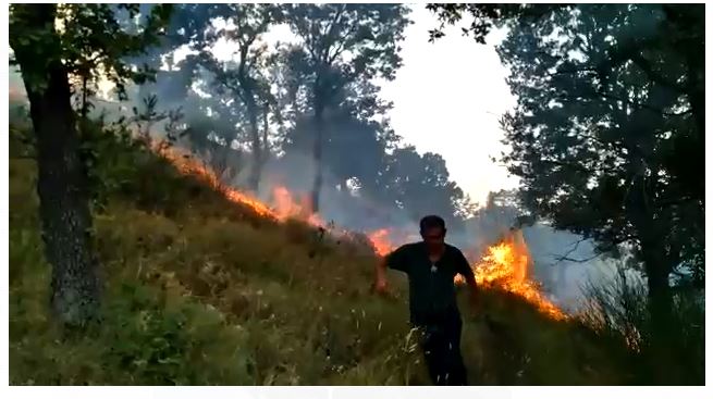 VIDEO/ Pas zjarrit në Dukat, aktivizohet një tjetër vatër zjarri në Tragjas