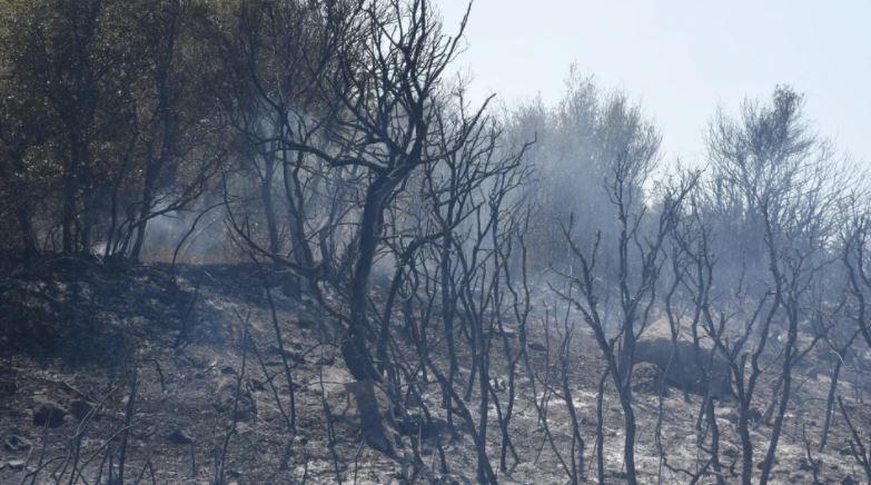 Zjarrfikëset vendosin përkohësisht në kontroll zjarret në disa komuna në Greqi