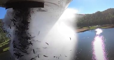 Mijëra peshq hidhen nga aeroplanët në liqenet e Utah