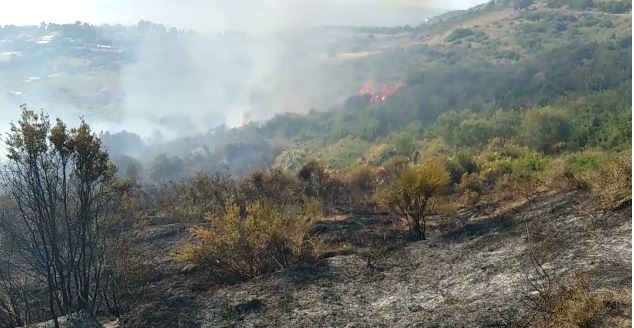 Zjarr në Radhimë, rrezikohen banesat dhe bizneset, panik tek pushuesit