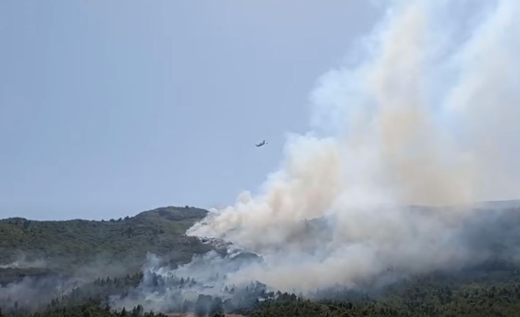Greqia sërish “në flakë”, zjarr në një zonë pyjore në Drosia