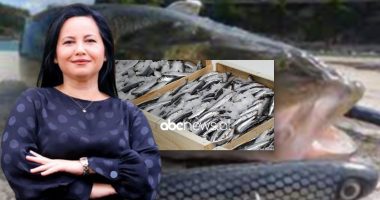 PËRGJIMET/ “E dua Samsung, jo iPhone”….” është peshk deti ai, 300 mijë lekë arka”: Si ra Voda në “rrjetën” e SPAK