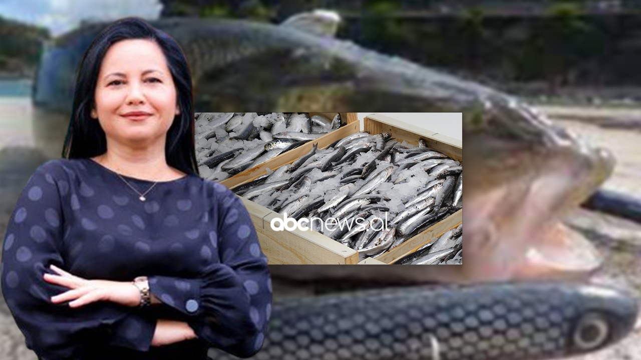 PËRGJIMET/ “E dua Samsung, jo iPhone”….” është peshk deti ai, 300 mijë lekë arka”: Si ra Voda në “rrjetën” e SPAK