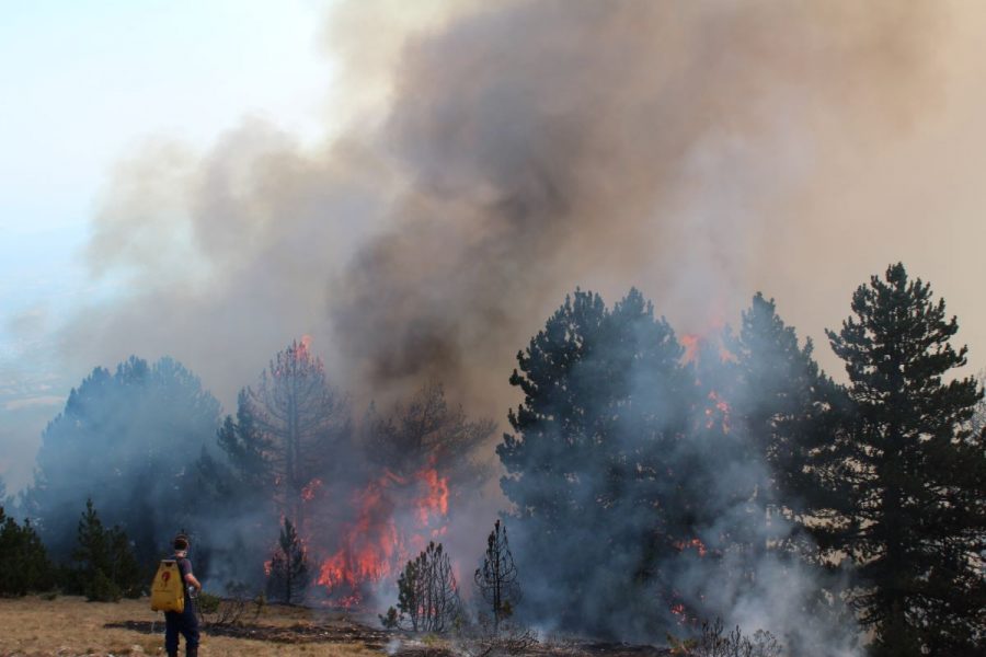 I nxehti afrikan në Shqipëri, Ministria e Mbrojtjes apel: Rrezik i lartë për zjarre, qëndroni në gatishmëri!